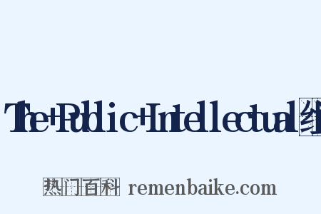 The+Public+Intellectual组词是什么意思的图片